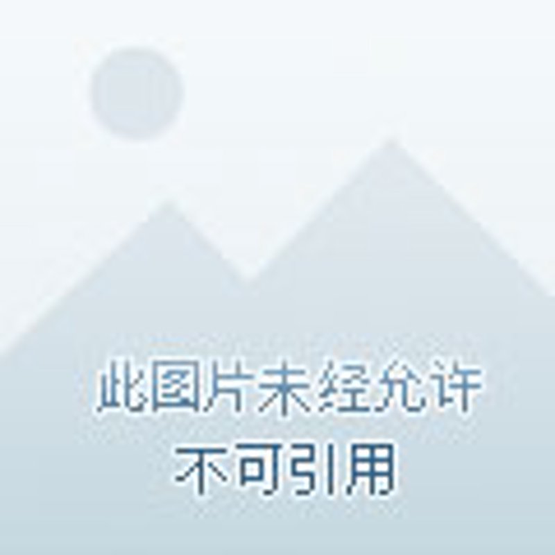 不锈钢钢丝绳：性能与应用详解